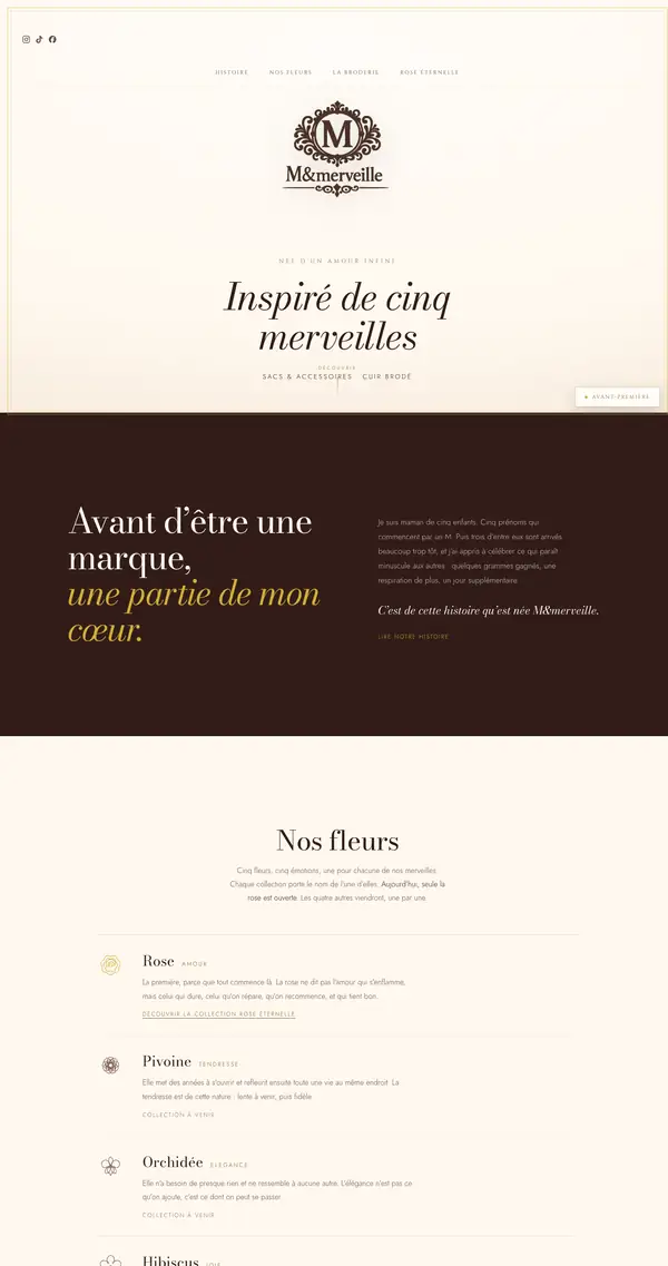 Page d'accueil du site M&merveille